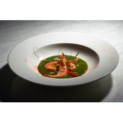 PRIME- PIATTO PASTA CM 30 A FALDA - ALLUMINA