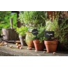 LAVAGNA CON PUNTA-SET 5 ETICHETTE A FORMA DI FIORE CON PENNARELLO 18X7X0,1 NERO TAG-FLOWER5