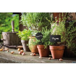 LAVAGNA CON PUNTA-SET 5 ETICHETTE A FORMA RETTANGOLARE CON PENNARELLO 18X8,1X0,1 NERO TAG-RETT5