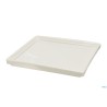 B.B. WHITE-PIATTO QUADRO CM.21,5X21,5X2,3  BA2671