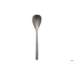 CANADA POLVO DE LUNA-CUCCHIAIO TAVOLA INOX