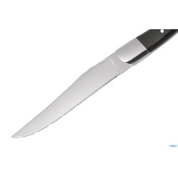 CHULETEROS HQ COLTELLO STEAK ACR NERO 3010