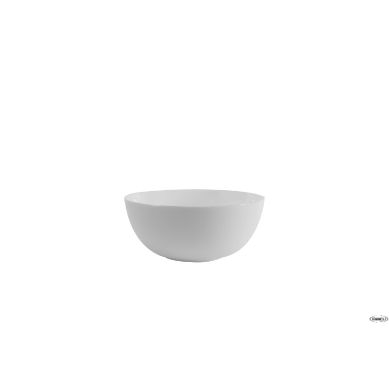 EVOLUTION - COPPETTA CM 9,5   N9397