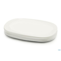 EVOLUTION - PIATTO RETTANGOLARE CM 34X24 N9402
