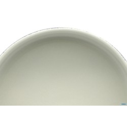 KADEN FORIO-INSALATIERA CM.20  50840N5FO