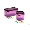 ALLERGEN-GASTRONORM ERMETICO 1.3 L.6 32,5X17,6X15 61393