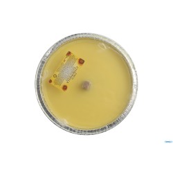 CITRONELLA-PARTYLIGHT FIACCOLA ALLUMINIO TONDA CM.16,5