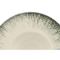 OREGON-PASTA BOWL CM.25     NNTS25SPT891311