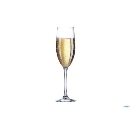 CABERNET TULIPE GRANDE CHAMPAGNE FLUT CL24