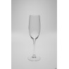 CABERNET TULIPE GRANDE CHAMPAGNE FLUT CL24