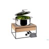 BUFFET-STAZIONE A INDUZIONE CM.35,4X32,5 H19