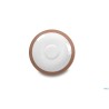 COFFEE E CO.-SALMONE CONFEZIONE 6 PIATTINI CAFFE CM.12   A4183Y122T46
