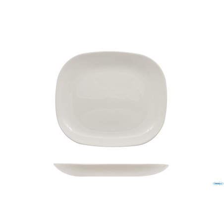 EVOLUTION SOLUTIONS-CONFEZIONE 6 PIATTI SNACK CM.21,5X19 L2808