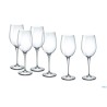 PREMIUM-CONFEZIONE.6 CALICI CL 33 NR.11 SAUVIGNON