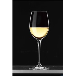 PREMIUM-CONFEZIONE.6 CALICI CL 33 NR.11 SAUVIGNON