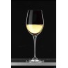 PREMIUM-CONFEZIONE.6 CALICI CL 33 NR.11 SAUVIGNON