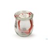 SET BEBE WECK-SECCHIELLO 9 VASI ML220 CON COPERCHIO GUARNIZIONE E CLIPS 762