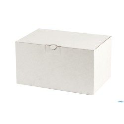 CHAMPAGNE - COPPA  CL. 23  2730008