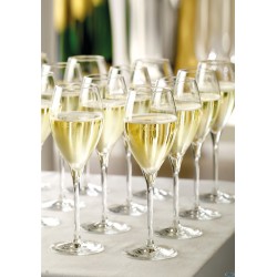 CHAMPAGNE - FLUTE CUVEE  CL. 14,5  1820029