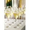 CHAMPAGNE - FLUTE CUVEE  CL. 14,5  1820029