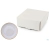 JAVA BARLEY CREAM - PIATTO COUPE CM 27  36110BC