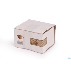 COFFEE E CO.-SALMONE THEIERA 360CC A15527Y122T22