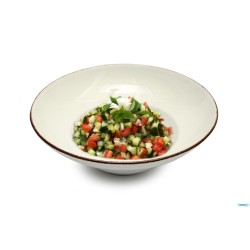 KASZUB PIATTO PASTA BOWL FILO MARRONE CM 26 - INTERNO CM 15,5   235 BACKSTAMP LIONESS A STAMPO