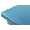 TAGLIERE CON FERMI POLIETILENE 60X40X2 BLU