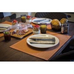 TOVAGLIETTA TRAMA STRETTA 45X33 ARANCIO PVC 60018