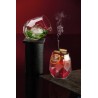 ALKEMIST - CONFEZIONE 6 BICCHIERI ACQUA INCLINABILI CL 38 27432020006
