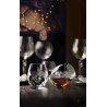 ALKEMIST - CONFEZIONE 6 BICCHIERI ACQUA INCLINABILI CL 38 27432020006