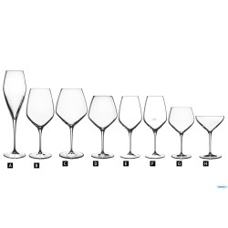 ATELIER - CONFEZIONE 6 CALICI PINOT CL 61