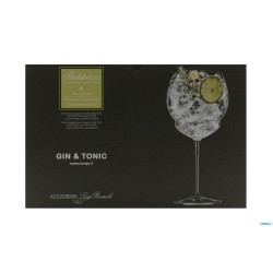 BACKDOOR 20S - CONFEZIONE 6 CALICI GIN TONIC CL80