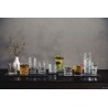 BARTENDER-CONFEZIONE 6 CALICI COCKTAIL CL 25 122111