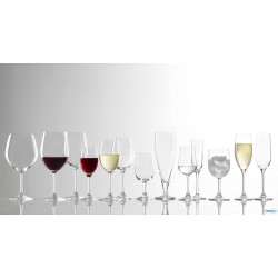 CLASSIC - CALICE VINO SMALL CL. 30,5