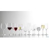 CLASSIC - CALICE VINO SMALL CL. 30,5
