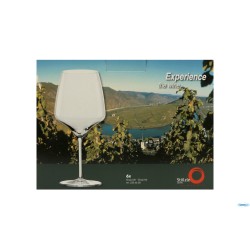 EXPERIENCE - CALICE BURGUNDY CL. 69,5
