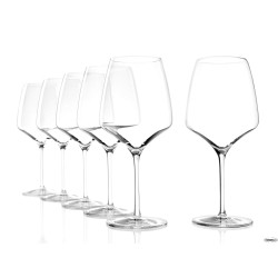 EXPERIENCE - CALICE BURGUNDY CL. 69,5