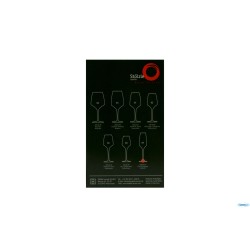 EXPERIENCE - FLUTE CHAMPAGNE CL.18,8