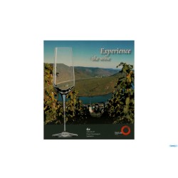 EXPERIENCE - FLUTE CHAMPAGNE CL.18,8
