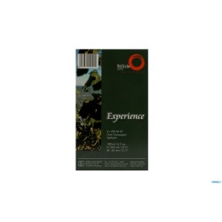 EXPERIENCE - FLUTE CHAMPAGNE CL.18,8