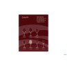 EXQUISIT - CALICE VINI BIANCHI CL. 42
