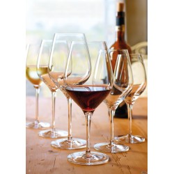 EXQUISIT - CALICE VINI ROSSI CL. 48  1470001