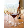 EXQUISIT - CALICE VINI ROSSI CL. 48  1470001