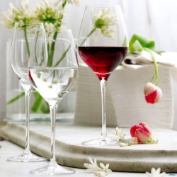 EXQUISIT ROYAL - CALICE VINI BIANCHI CL. 42 1490003