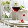 EXQUISIT ROYAL - CALICE VINI BIANCHI CL. 42 1490003