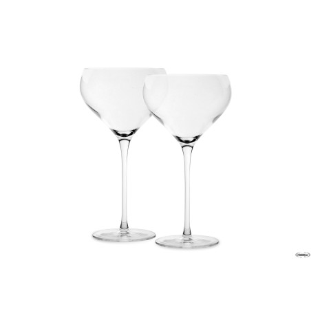 FANTASY-CONFEZIONE 2 CALICI COCKTAIL CL.67,5 NUDE  66130