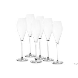 FANTASY-CONFEZIONE 6 CALICI CHAMPAGNE CL.29 NUDE  66160