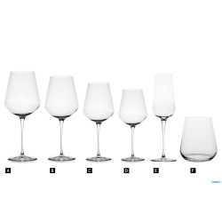 INALTO UNO-CONFEZIONE 6 BICCHIERI ACQUA DOF CL.45    3.65750