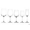 INVENTA-SPAZIO - CONFEZIONE 4 CALICI FLUTE CL.21,5   3.20754.G10